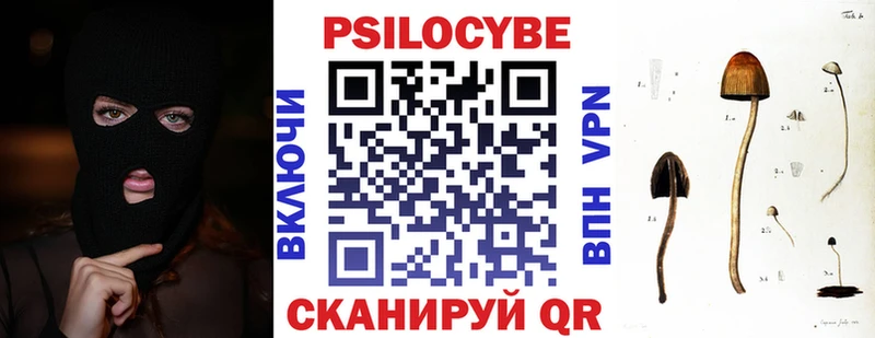 Купить  Каспийск  Псилоцибиновые грибы Magic Shrooms 